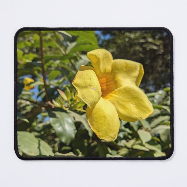 Item preview, Allamanda designed and sold by TheRealDanniX.