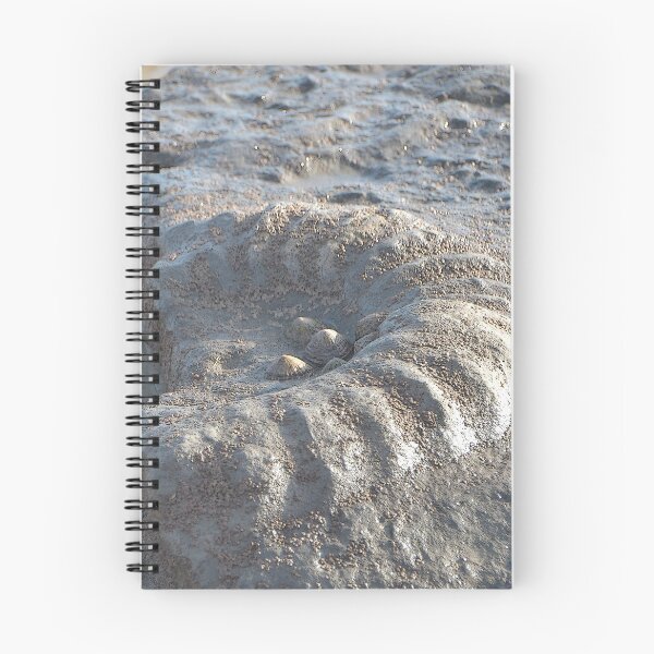 Item preview, Ammonite Maybe........Lyme Dorset UK designed and sold by lynn carter.