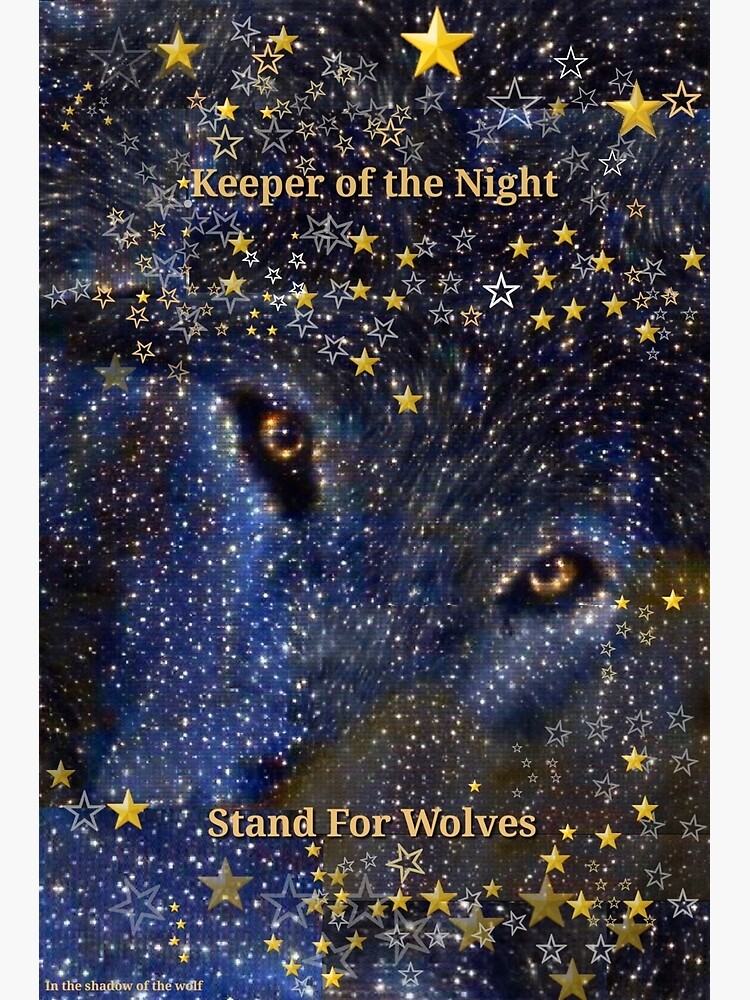 Keeper of the Night/2 by WolfShadow27