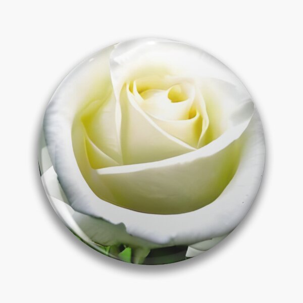 Item preview, Beautiful white rose flower artwork designed and sold by The Love Quill.
