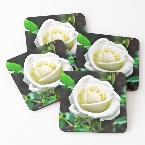 Item preview, Beautiful white rose flower artwork designed and sold by The Love Quill.