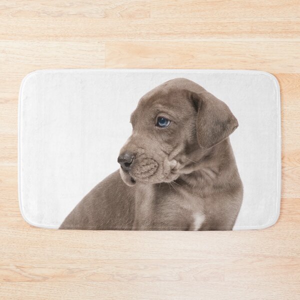 Item preview, Little Dane designed and sold by ernest123.