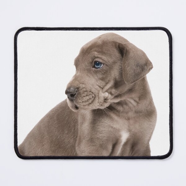 Item preview, Little Dane designed and sold by ernest123.