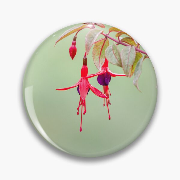 Item preview, Fuchsia flower, details in nature, cute flowers with green background. designed and sold by AylaHarbich.