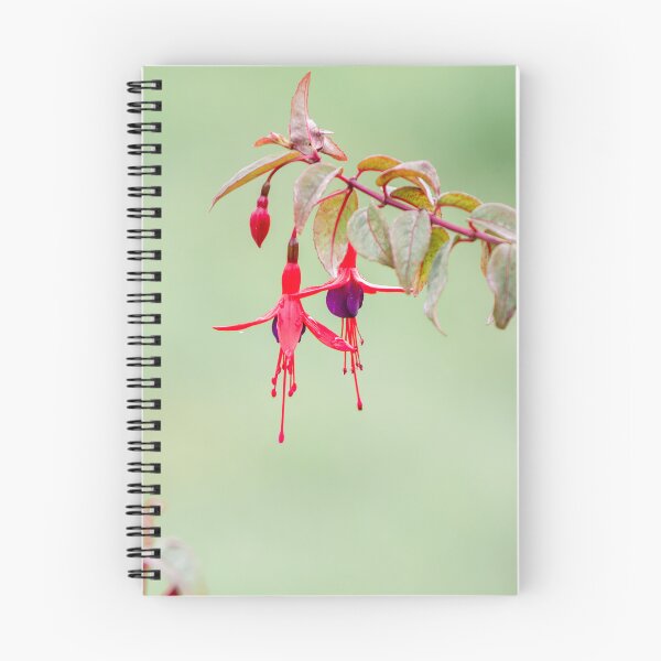 Item preview, Fuchsia flower, details in nature, cute flowers with green background. designed and sold by AylaHarbich.