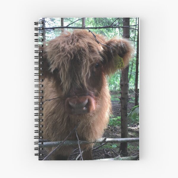 Item preview, Scottish Highland Cattle Calf 1485 designed and sold by SaarelaHighland.