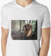Scottish Highland Cattle Calf 1486 Men's V-Neck T-Shirt
