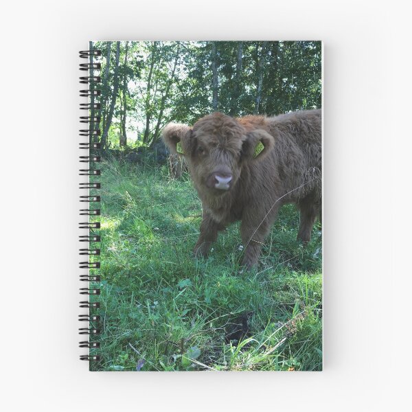 Item preview, Scottish Highland Cattle Calf 1491 designed and sold by SaarelaHighland.