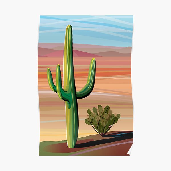 Saguaro Cactus in Sonora Desert Poster