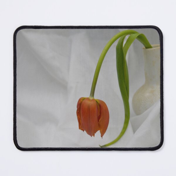 Item preview, Still Life Wilted Tulip White Drapery Background designed and sold by Tina Veenstra.
