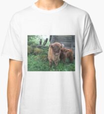 Scottish Highland Cattle Calves 1506 Classic T-Shirt