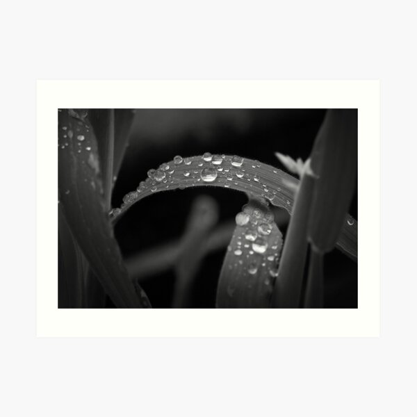 Ball on Blade Art Print