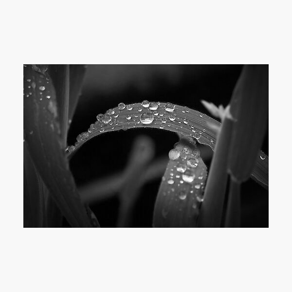 Ball on Blade Photographic Print