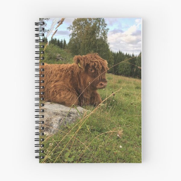 Item preview, Scottish Highland Cattle Calf 1517 designed and sold by SaarelaHighland.