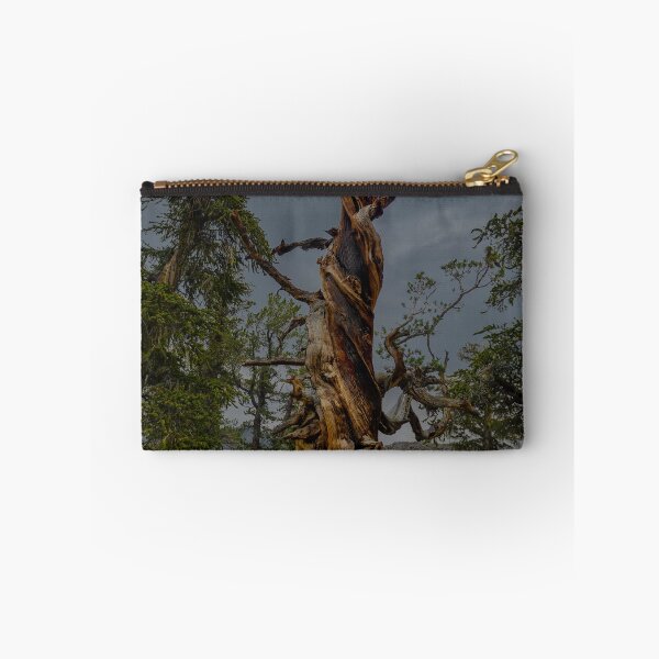 Item preview, Bristle Cone Pine Twist designed and sold by photosbyflood.