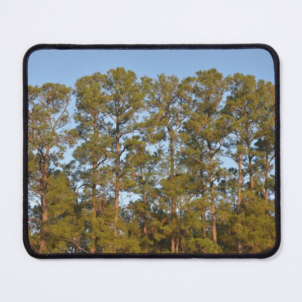 Item preview, MORNING TREES designed and sold by JLFXCreations.