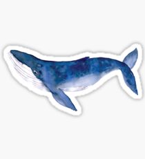Humpback Whale in watercolor Sticker