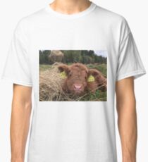 Scottish Highland Cattle Calf 1550 Classic T-Shirt
