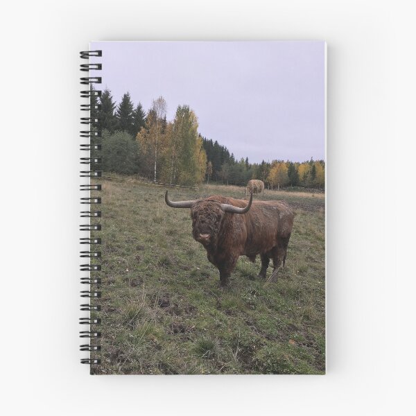 Item preview, Scottish Highland Cattle Bull 1557 designed and sold by SaarelaHighland.