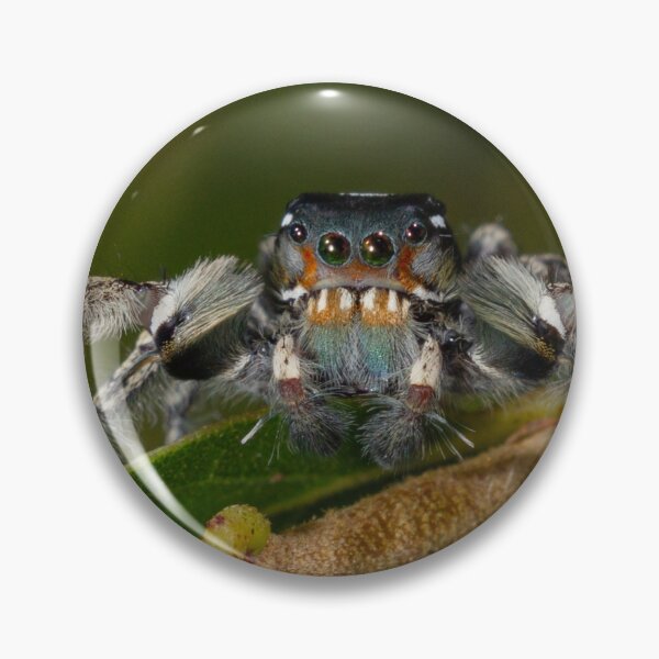 Item preview, The Conductor designed and sold by apsciencebydan.