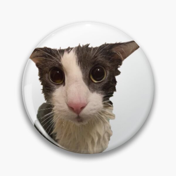 Item preview, Soggy Cat designed and sold by Trendy-Now.