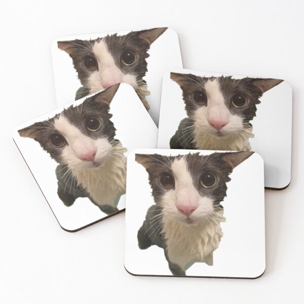 Item preview, Soggy Cat designed and sold by Trendy-Now.
