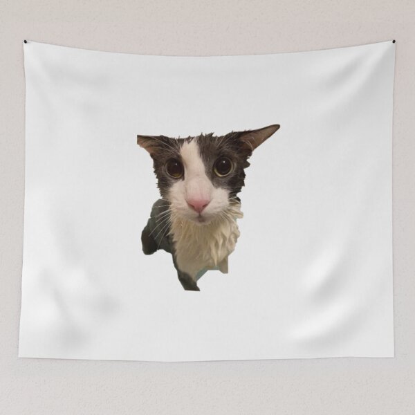 Item preview, Soggy Cat designed and sold by Trendy-Now.