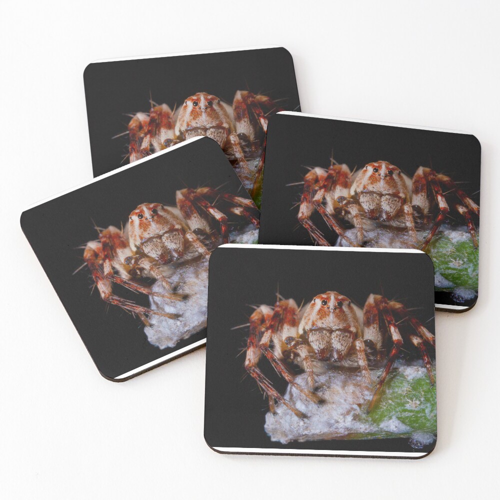 Item preview, Coasters (Set of 4) designed and sold by apsciencebydan.