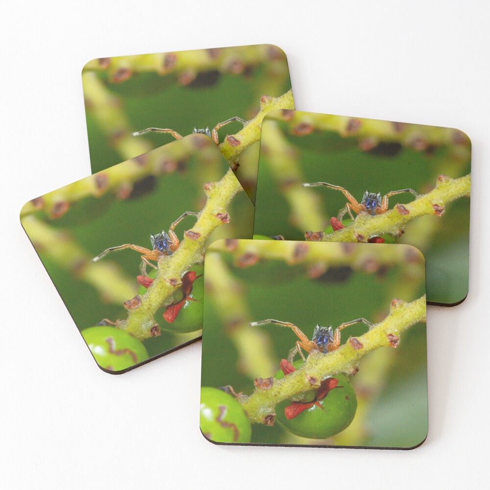 Item preview, Coasters (Set of 4) designed and sold by apsciencebydan.
