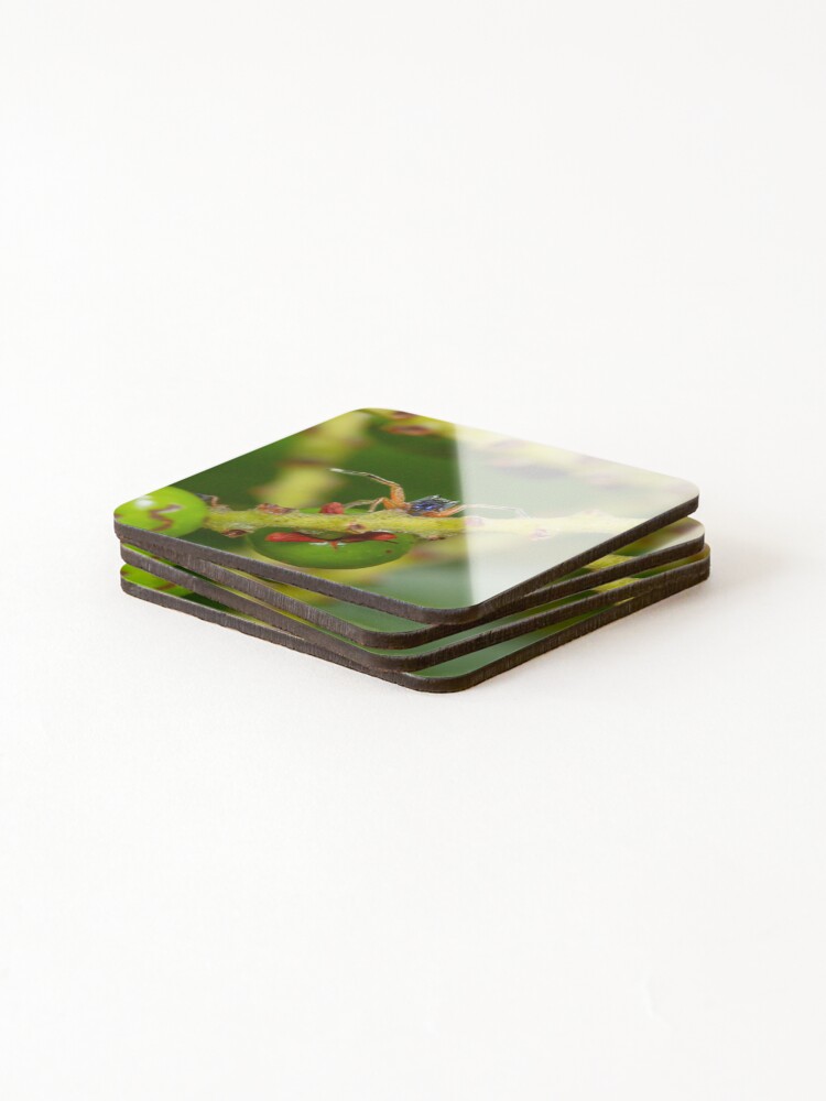 Thumbnail 4 of 5, Coasters (Set of 4), Hello! designed and sold by apsciencebydan.
