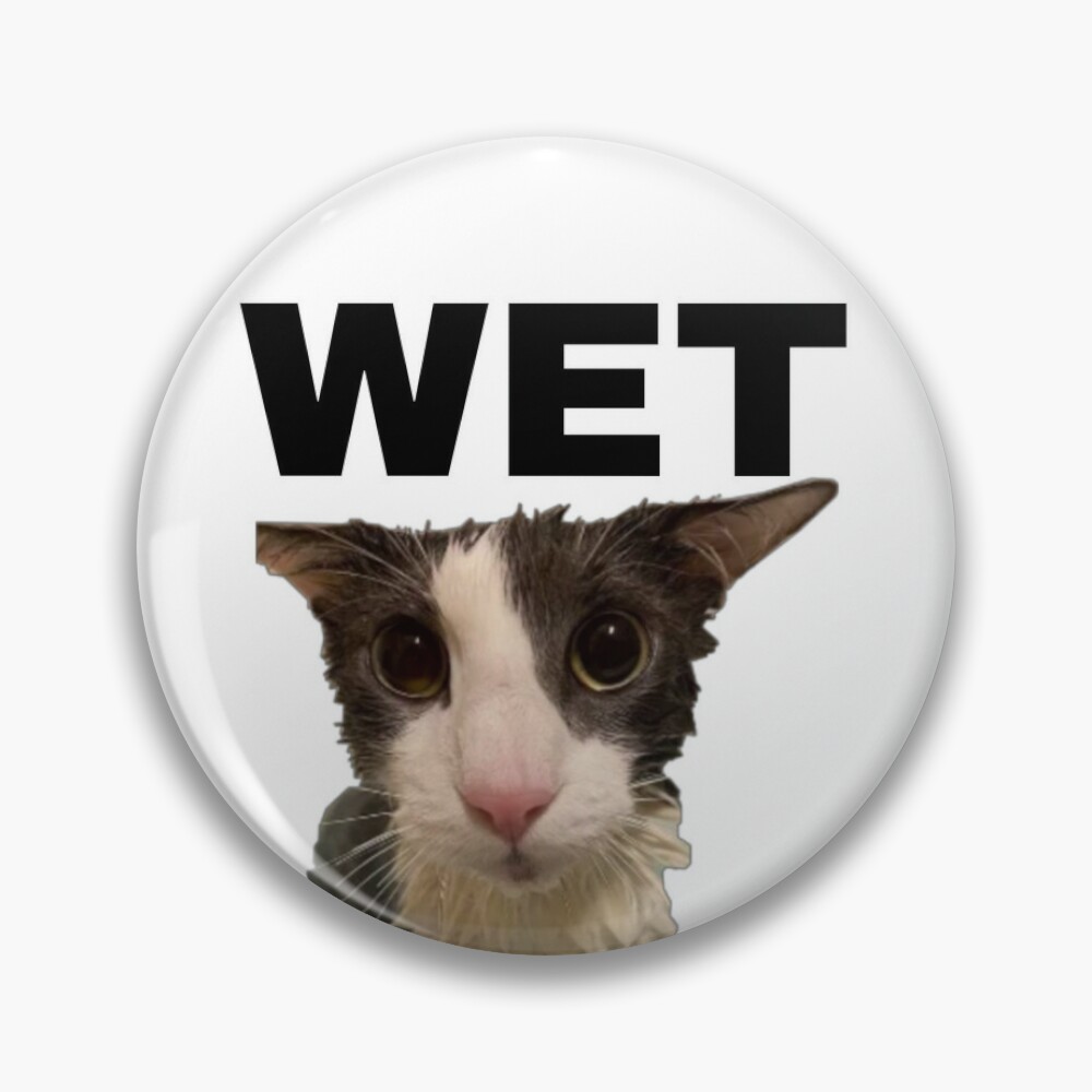 Soggy Cat Sticker - Soggy Cat Sphere - Discover & Share GIFs