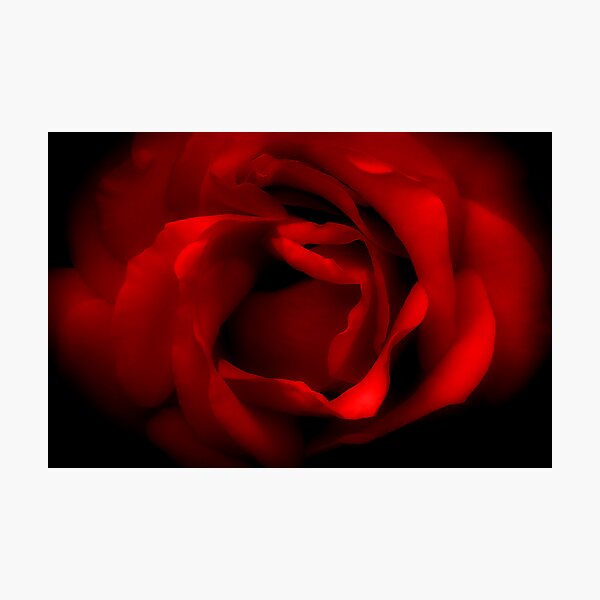 Valentines Photographic Print