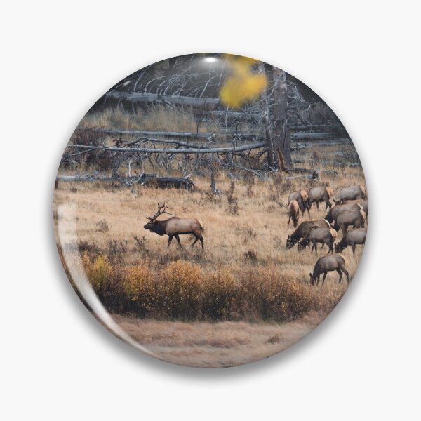 Item preview, Rocky Moutain Elk Herd designed and sold by Elevated Imaging .