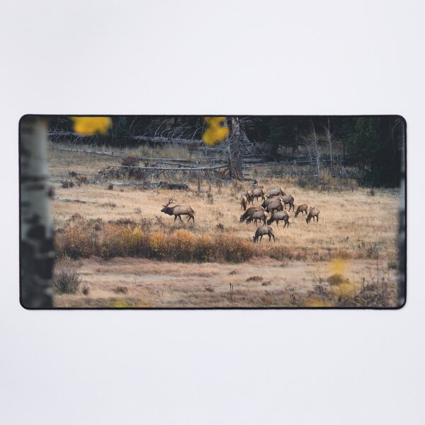Item preview, Rocky Moutain Elk Herd designed and sold by Elevated Imaging .