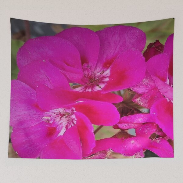 Item preview, pink geranium designed and sold by AidaArt.