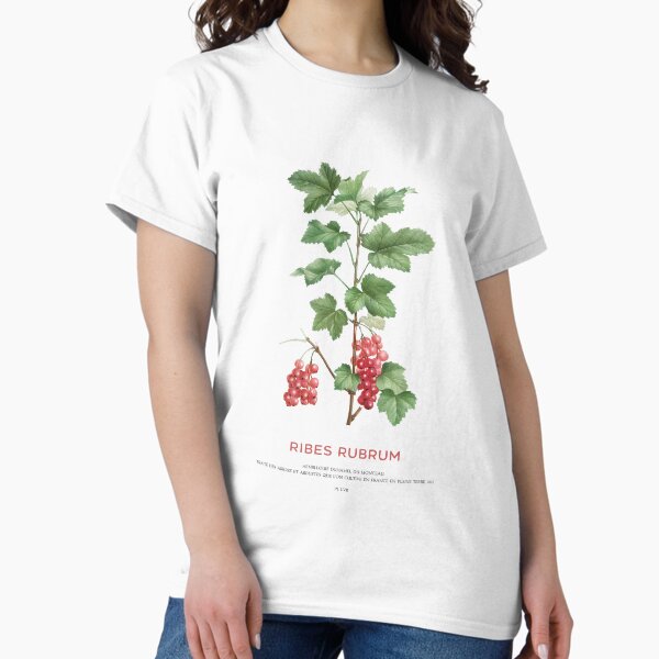 Artikel-Vorschau von Rote Johannisbeere oder Ribes Rubrum, designt und verkauft von Vintagrafica.