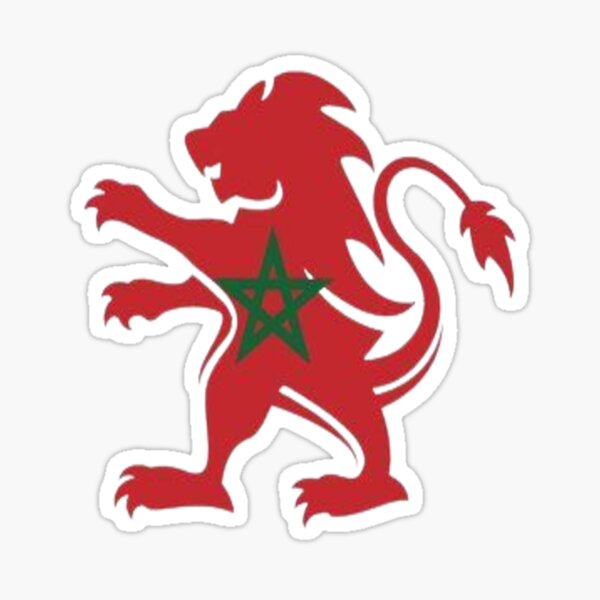 Aperçu de l'œuvre maroc créée et vendue par paoilastor.
