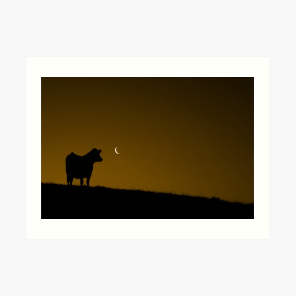 Can I Lick It? Art Print