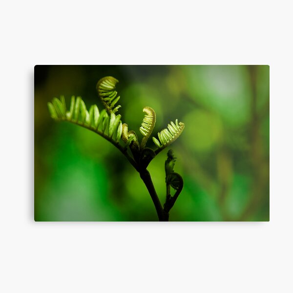 Green Fingers Metal Print