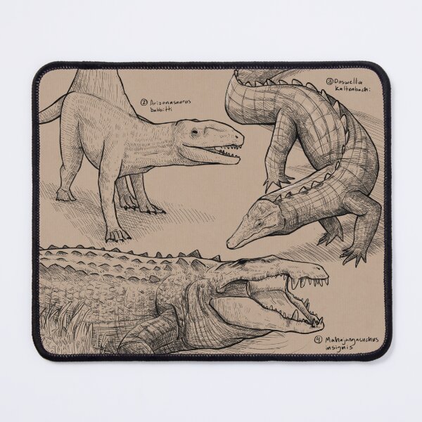 Item preview, Archosaur scientific illustration designed and sold by ClassyShark.