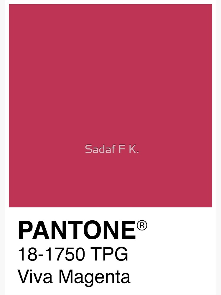 Pantone Announces Its 2023 Color of the Year: Viva Magenta – Rio Roses