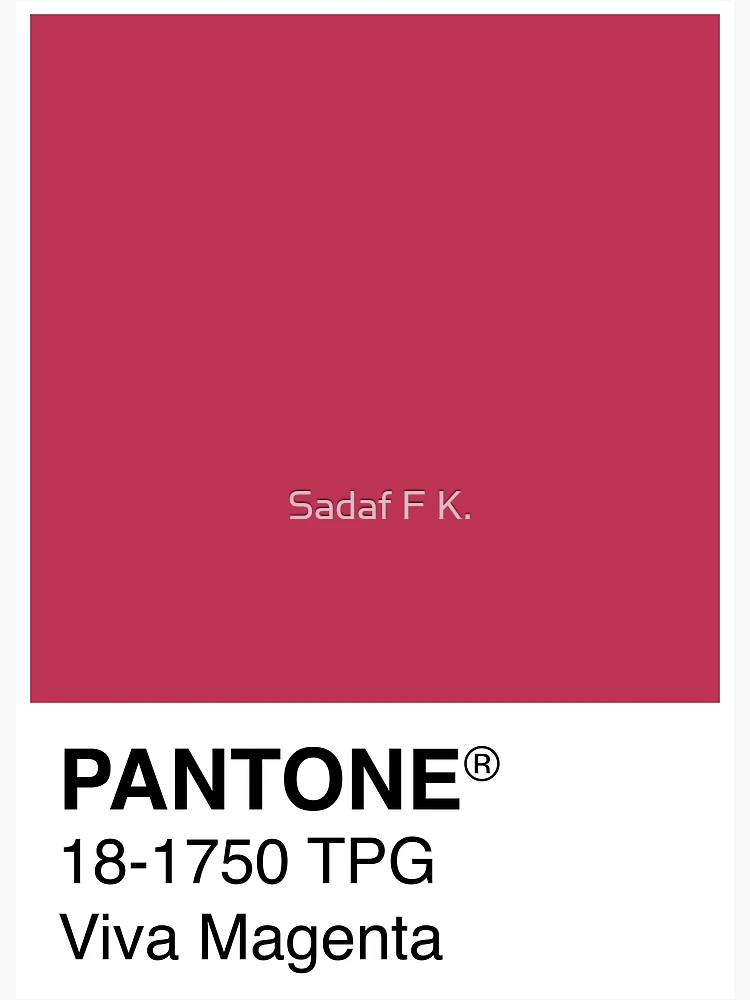 Pantone Viva Magenta Color of the year 2023 Greeting Card for Sale by  Sadaf F K.