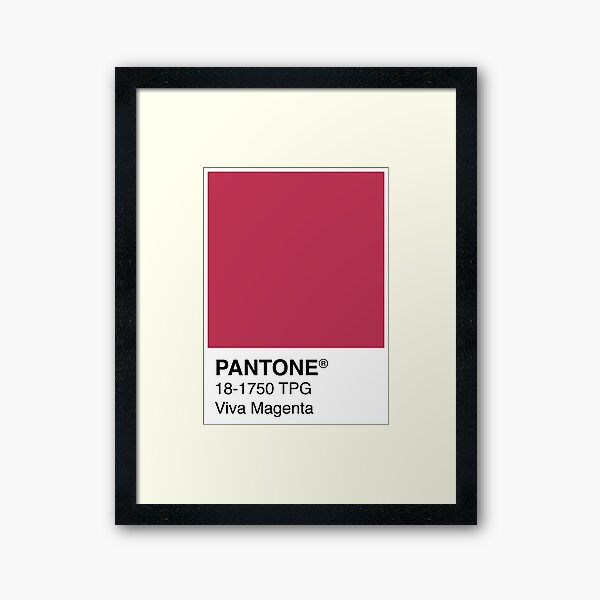 Pantone Viva Magenta Color of the year 2023 Greeting Card for Sale by  Sadaf F K.