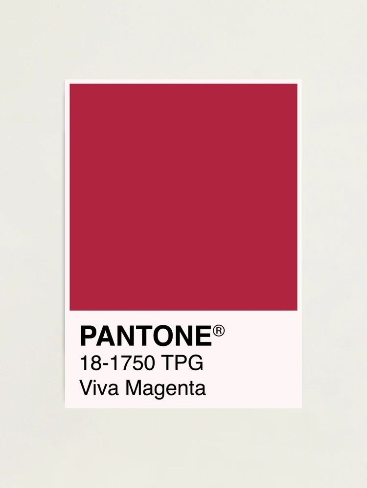 Viva Magenta! The big business of Colour of the Year - Canon Georgia