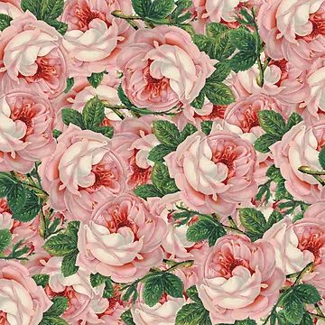 Artwork thumbnail, Pink Roses by HalamoDesigns