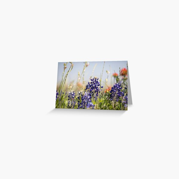 Item preview, Texas Bluebonnets and Indian Paintbrush designed and sold by Skylark-Art.