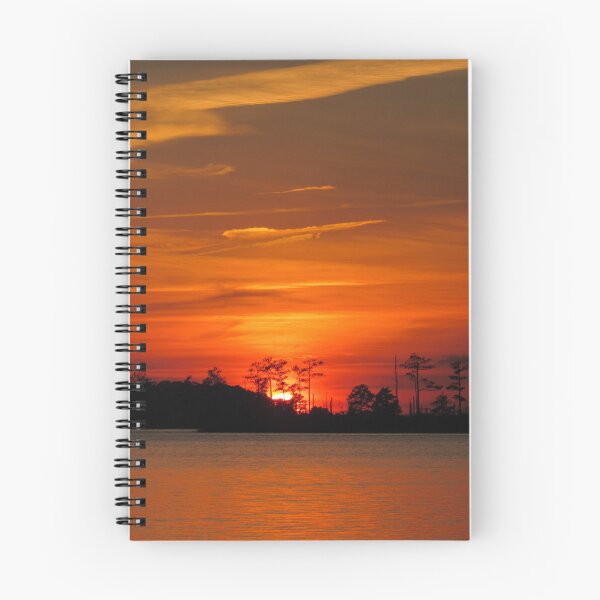 Item preview, Disappearing Act designed and sold by Tonia Delozier's Photography .