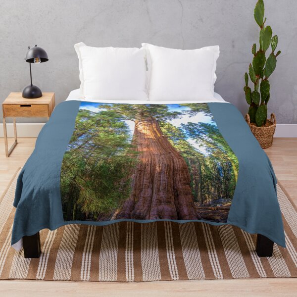 Item preview, USA. California. Sequoia National Park. General Sherman Tree. designed and sold by vadim19.
