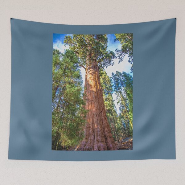 Item preview, USA. California. Sequoia National Park. General Sherman Tree. designed and sold by vadim19.