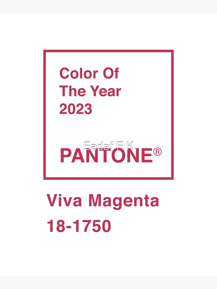 Pantone Color of the Year 2023: Viva Magenta – Br24